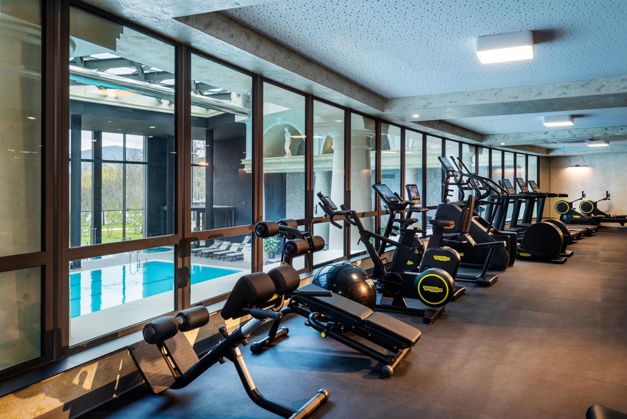 Kings' Valley Medical & Spa Hotel 卡赞勒克 外观 照片 The gym at the hotel